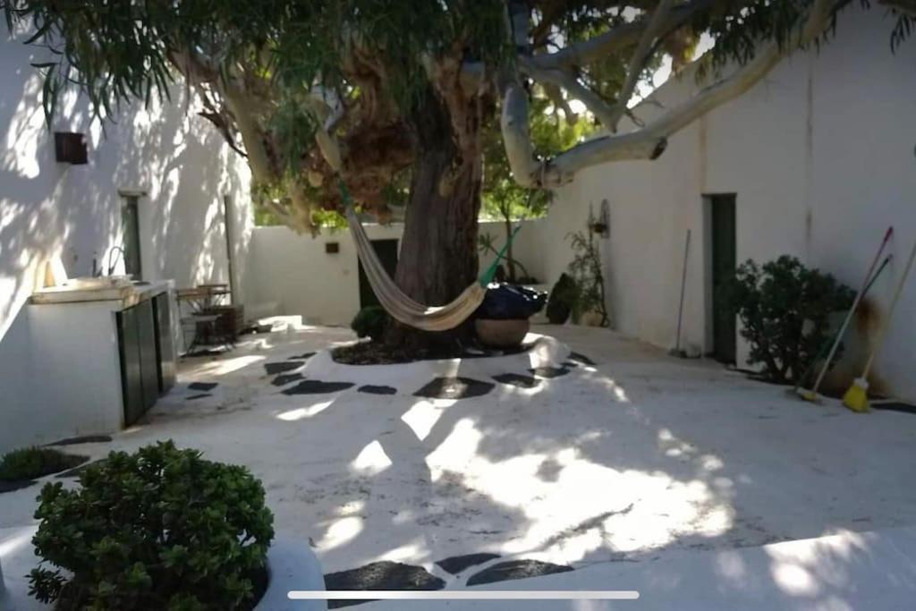 Lovely Studio In Original Finca La Asomada  Bagian luar foto